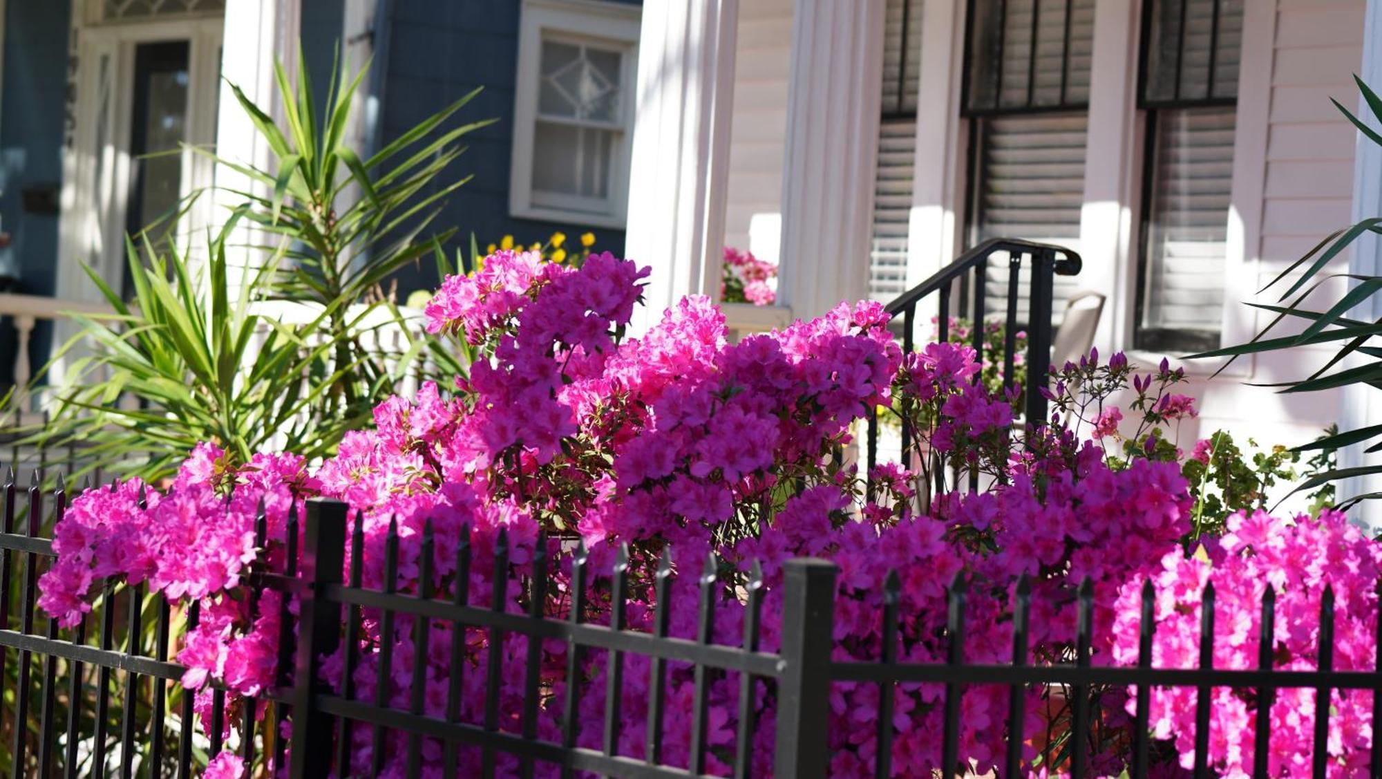 5 Bedroom Downtown Savannah Ga Kültér fotó
